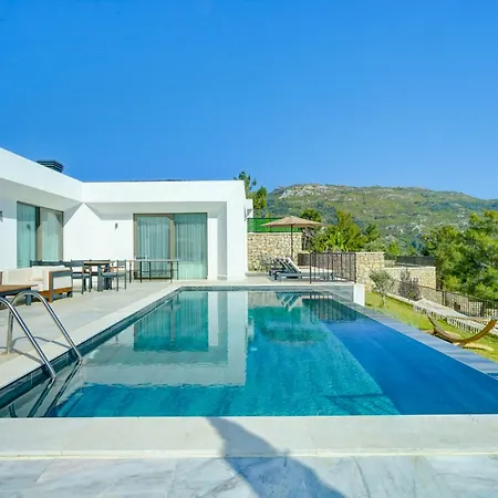 Venus 8 - Planet Luxury 别墅 *